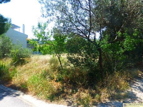 Οικόπεδο 600 τ.μ. για πώληση