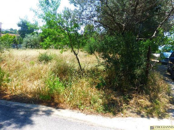 Land plot 600 sqm for sale, Athens - East, Anthoisa