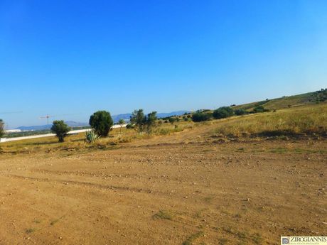 Οικόπεδο 40.000τ.μ. για πώληση-Σπάτα