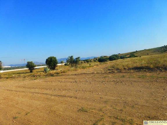 Οικόπεδο 40.000 τ.μ. για πώληση, Αθήνα - Ανατολικά Προάστια, Σπάτα