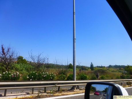 Αγροτεμάχια 29.000 τ.μ. για πώληση