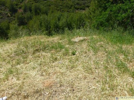 Οικόπεδο 650τ.μ. για πώληση-Ανθούσα