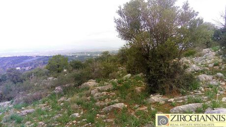 Αγροτεμάχια 5.000τ.μ. για πώληση-Κορωπί