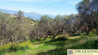Οικόπεδο 530 τ.μ. για πώληση, Αχαΐα, Αίγιο-thumb-2