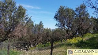 Οικόπεδο 530 τ.μ. για πώληση, Αχαΐα, Αίγιο-thumb-4