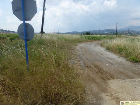 Αγροτεμάχια 6.000τ.μ. για πώληση-Σπάτα