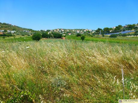Αγροτεμάχια 4.100τ.μ. για πώληση-Πικέρμι