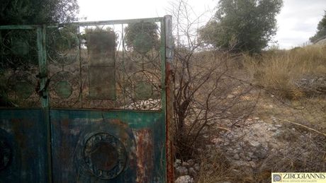 Οικόπεδο 1.700τ.μ. για πώληση-Παλλήνη