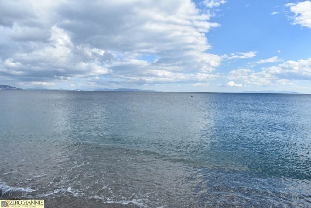 Αγροτεμάχια 2.500 τ.μ. για πώληση, Εύβοια, Στύρα