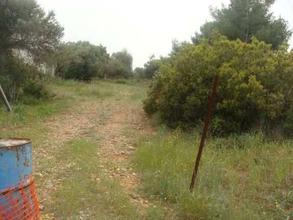 Αγροτεμάχια 600 τ.μ. για πώληση, Αθήνα - Ανατολικά Προάστια, Αρτέμιδα (λούτσα)