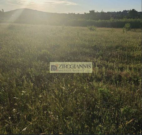 Land plot 8.500 sqm for sale, Rest Of Attica, Com. Kapandriti