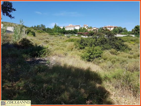 Land plot 2.700 sqm for sale, Rest Of Attica, Pikermi