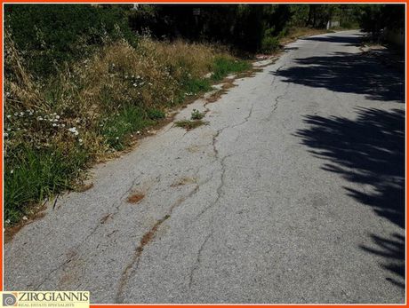 Οικόπεδο 2.700 τ.μ. για πώληση