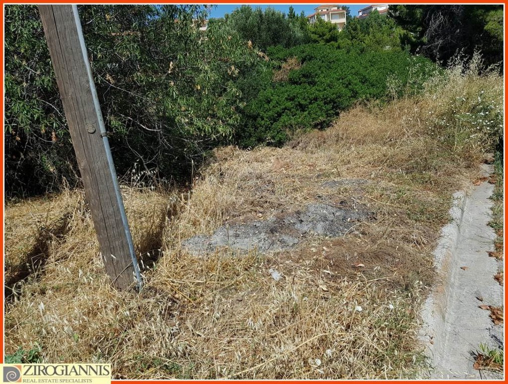 Οικόπεδο 2.700 τ.μ. προς πώληση, Ντράφι