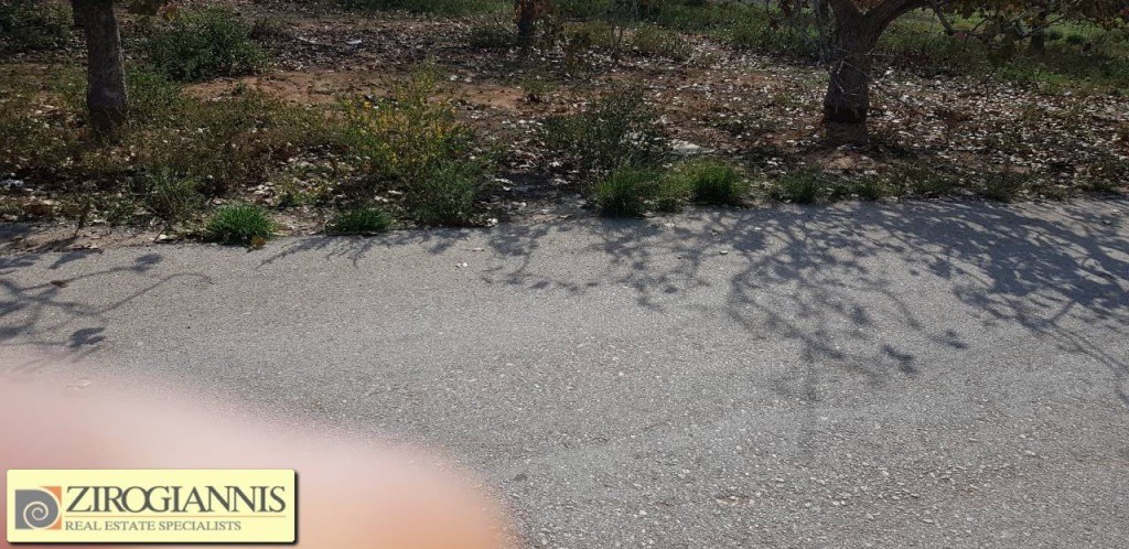 Οικόπεδο 2.500 τ.μ. προς πώληση, Μαρκόπουλο