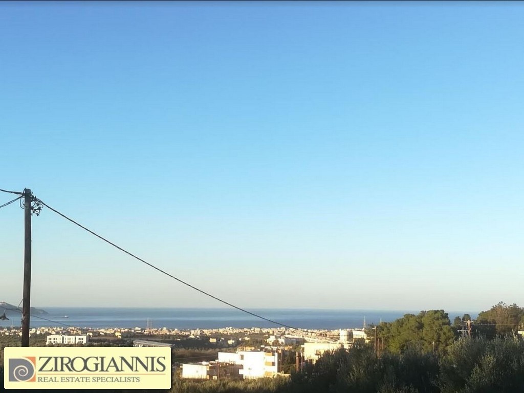 Οικόπεδο 4.000 τ.μ. προς πώληση, Γιοφυράκια