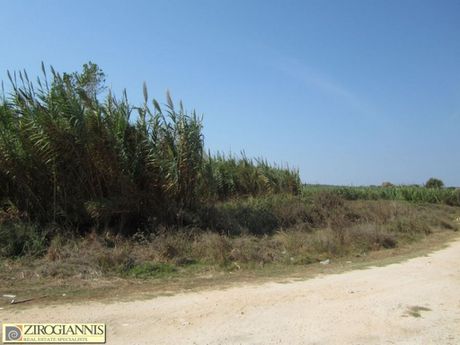 Αγροτεμάχια 11.105τ.μ. για πώληση-Κάστρο κυλλήνης