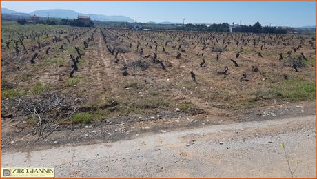 Αγροτεμάχια 6.500τ.μ. για πώληση-Πικέρμι