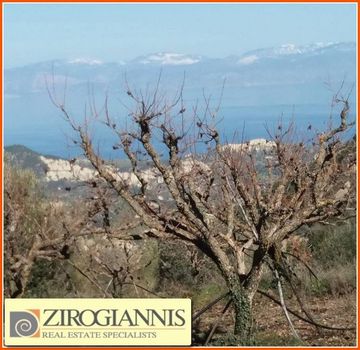Οικόπεδο 1.600τ.μ. για πώληση-Πύργος