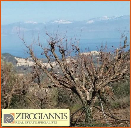 Οικόπεδο 1.600 τ.μ. για πώληση, Ν. Ηλείας, Πύργος