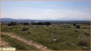 Land plot 1.620sqm for sale-Spata