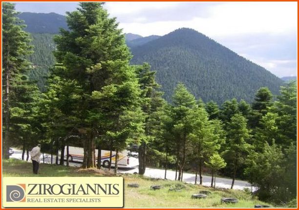 Οικόπεδο 2.250 τ.μ. για πώληση, Κορινθία, Στυμφαλία