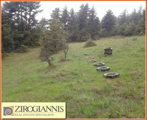 Οικόπεδο 2.250 τ.μ. για πώληση, Κορινθία, Στυμφαλία-thumb-2
