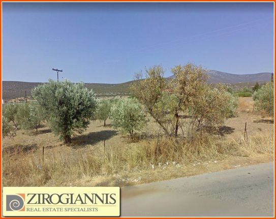 Οικόπεδο 2.600 τ.μ. για πώληση, Αργολίδα, Κρανίδι