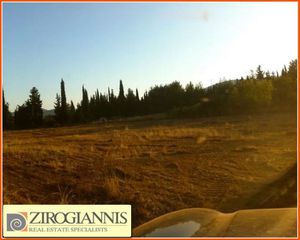 Αγροτεμάχια 7.200 τ.μ. για πώληση, Αρκαδία, Τρίπολη-thumb-2