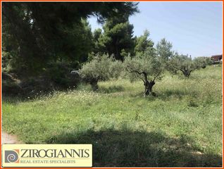 Οικόπεδο 4.000 τ.μ. για πώληση, Αρκαδία, Μαντίνεια-thumb-1