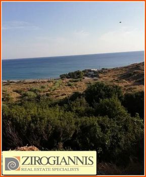 Αγροτεμάχια 15.000τ.μ. για πώληση-Μακρύς γιαλός