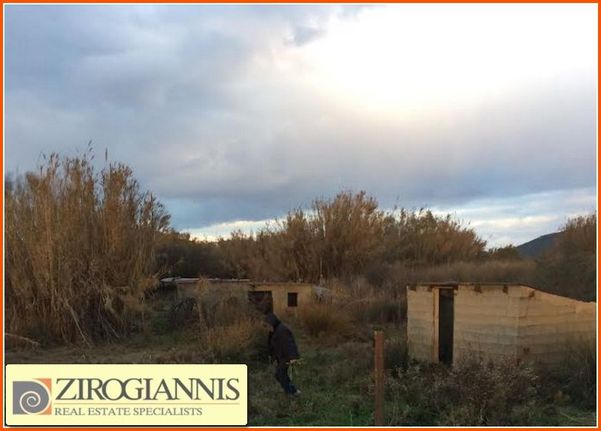 Αγροτεμάχια 1.700 τ.μ. για πώληση, Αθήνα - Ανατολικά Προάστια, Σπάτα