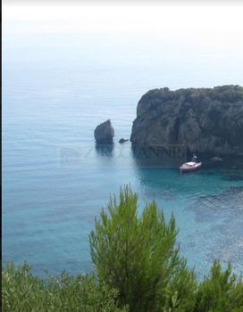 Αγροτεμάχια 14.000τ.μ. για πώληση-Κέρκυρα