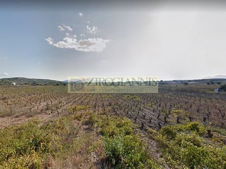 Αγροτεμάχια 7.800 τ.μ. για πώληση