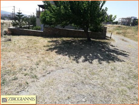 Land plot 320 sqm for sale
