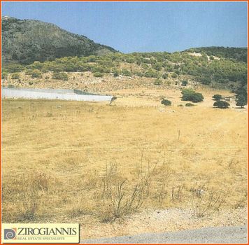 Αγροτεμάχια 11.000τ.μ. για πώληση-Ασπρόπυργος