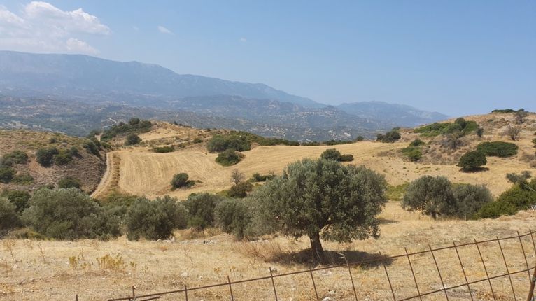 Οικόπεδο 10.000 τ.μ. για πώληση, Εύβοια, Κάρυστος