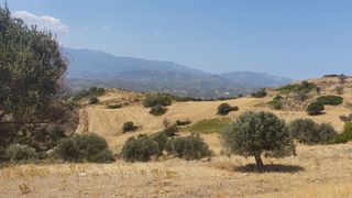 Land plot 10.000 sqm for sale, Evia, Karistos-thumb-2