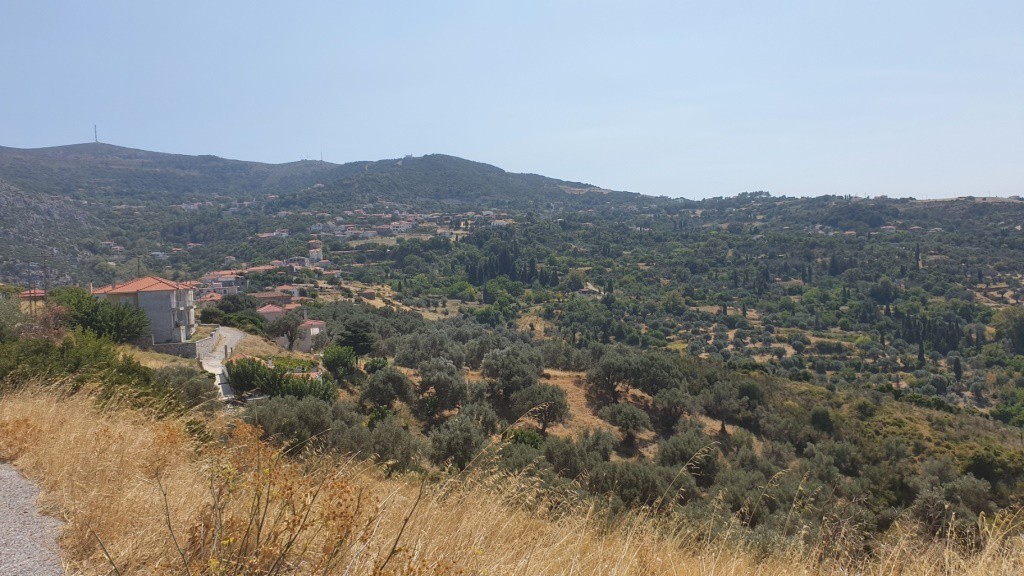 Οικόπεδο 10.000 τ.μ. προς πώληση, Κάρυστος