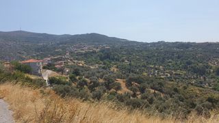 Land plot 10.000 sqm for sale, Evia, Karistos-thumb-3