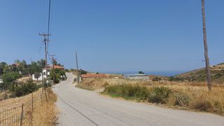 Land plot 10.000 sqm for sale, Evia, Karistos-thumb-5