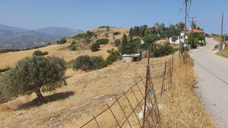 Land plot 10.000 sqm for sale, Evia, Karistos-thumb-6