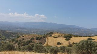 Land plot 10.000 sqm for sale, Evia, Karistos-thumb-1