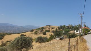 Land plot 10.000 sqm for sale, Evia, Karistos-thumb-4