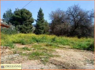Οικόπεδο 1.220 τ.μ. για πώληση