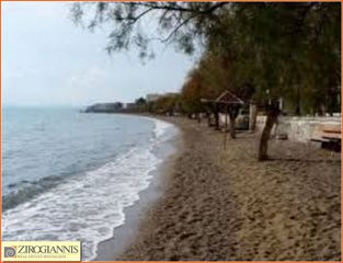 Οικόπεδο 1.220 τ.μ. για πώληση, Εύβοια, Χαλκίδα-thumb-1