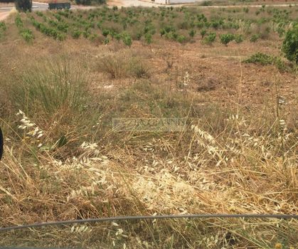 Αγροτεμάχια 10.000τ.μ. για πώληση-Αρτέμιδα (λούτσα)