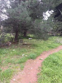 Οικόπεδο 1.400τ.μ. για πώληση-Αρτέμιδα (λούτσα)