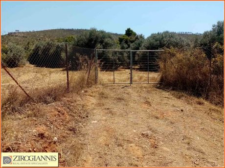 Οικόπεδο 4.950τ.μ. για πώληση-Κάλαμος