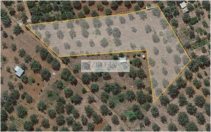 Οικόπεδο 4.000 τ.μ. για πώληση, Αχαΐα, Αίγιο